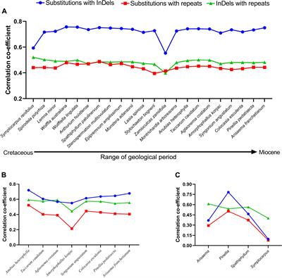 Mutational Dynamics of Aroid Chloroplast Genomes II